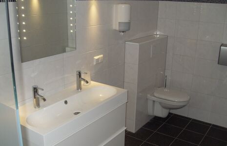 Badkamer: wastafel en toilet