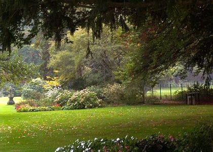 Tuin begin herfst