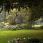 Tuin begin herfst