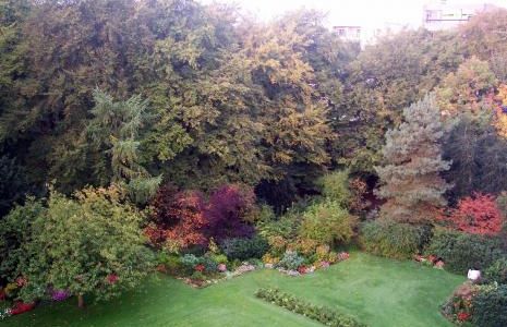 Tuin in herfstkleuren
