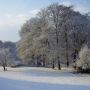 Winter in de tuin
